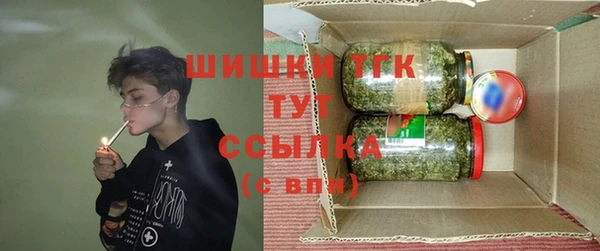 гашик Алзамай