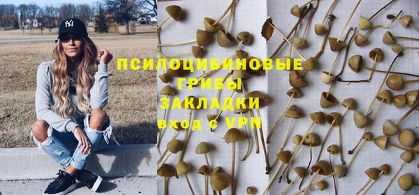 твердый Приозерск