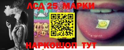 прущие грибы Гатчина