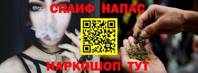 прущие грибы Гатчина