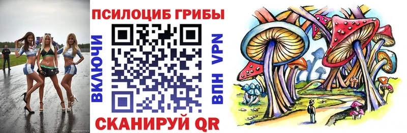 Псилоцибиновые грибы ЛСД  ссылка на мегу маркетплейс  Ржев 