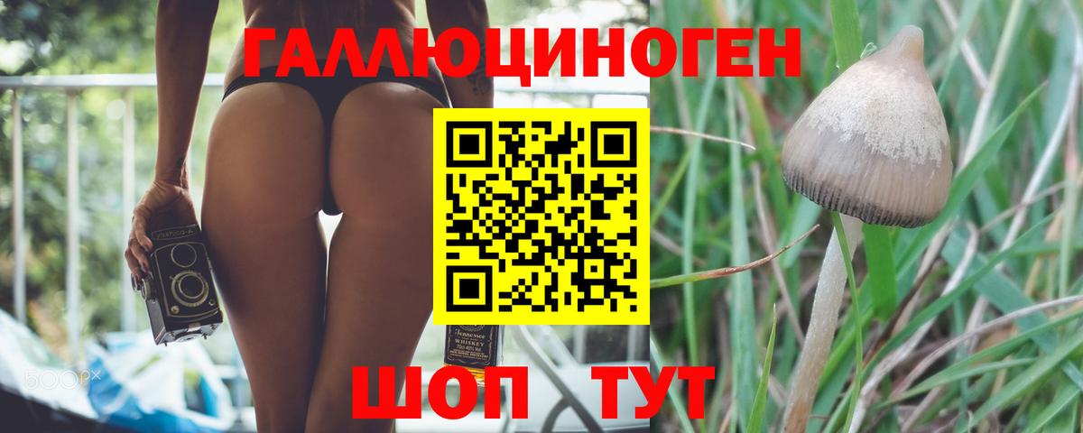 Галлюциногенные грибы Psilocybine cubensis  Вход с VPN  Ржев 